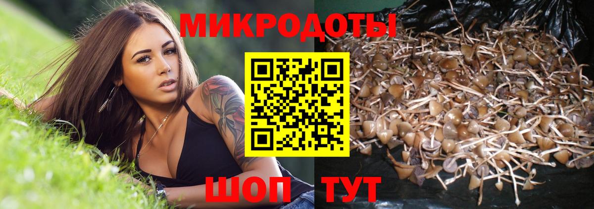 Уссурийск  Галлюциногенные грибы GOLDEN TEACHER  Вход с VPN 